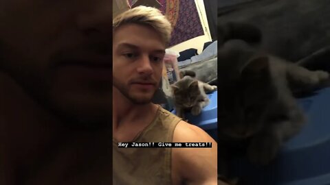 Kitty cat grabbing me