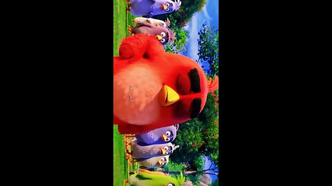 angry birds shorts