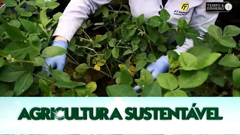 Agricultura Sustentável - com Frederico Olivi