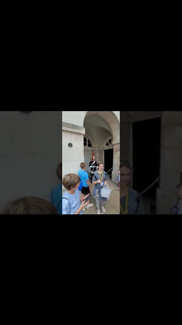 The guard is not real he stamps his foot and the sceam #horseguardsparade