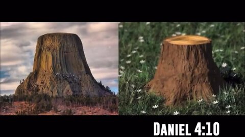 Antient Giant Silica Trees Cut down by what?? That's Right!