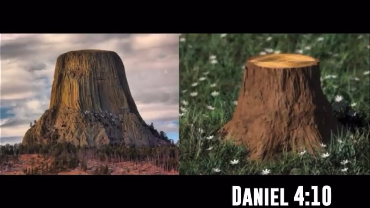 Antient Giant Silica Trees Cut down by what?? That's Right!