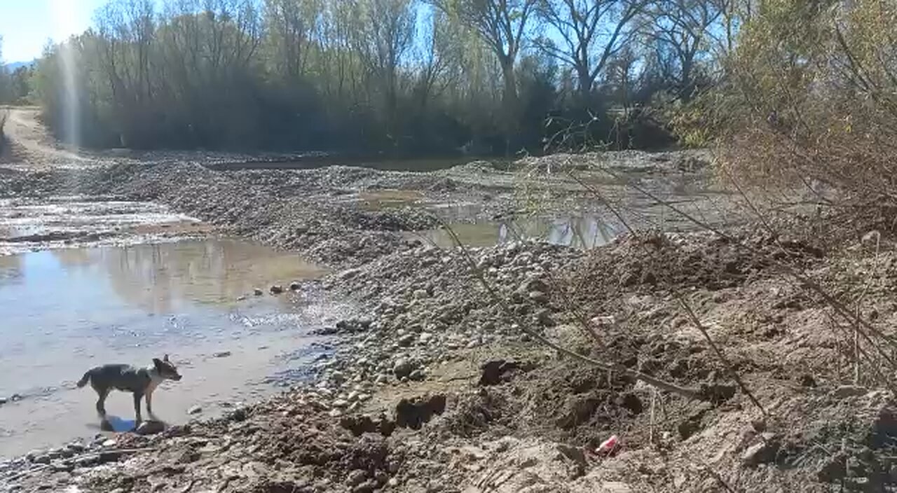 Grabbing materials from the riverbed in Mexico