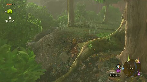 “Oh Look A Treasure Chest!”