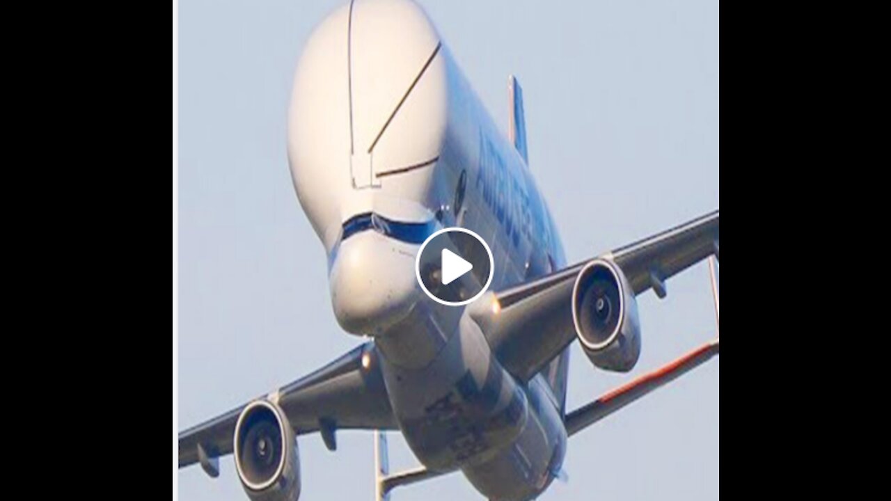 Airbus Beluga XL Landing at Broughton