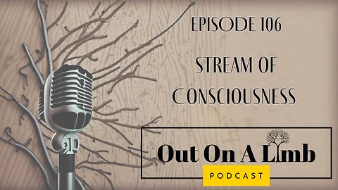 Stream of Consciousness ~ Ep.106 ~ February 2025