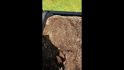 wood chip haul