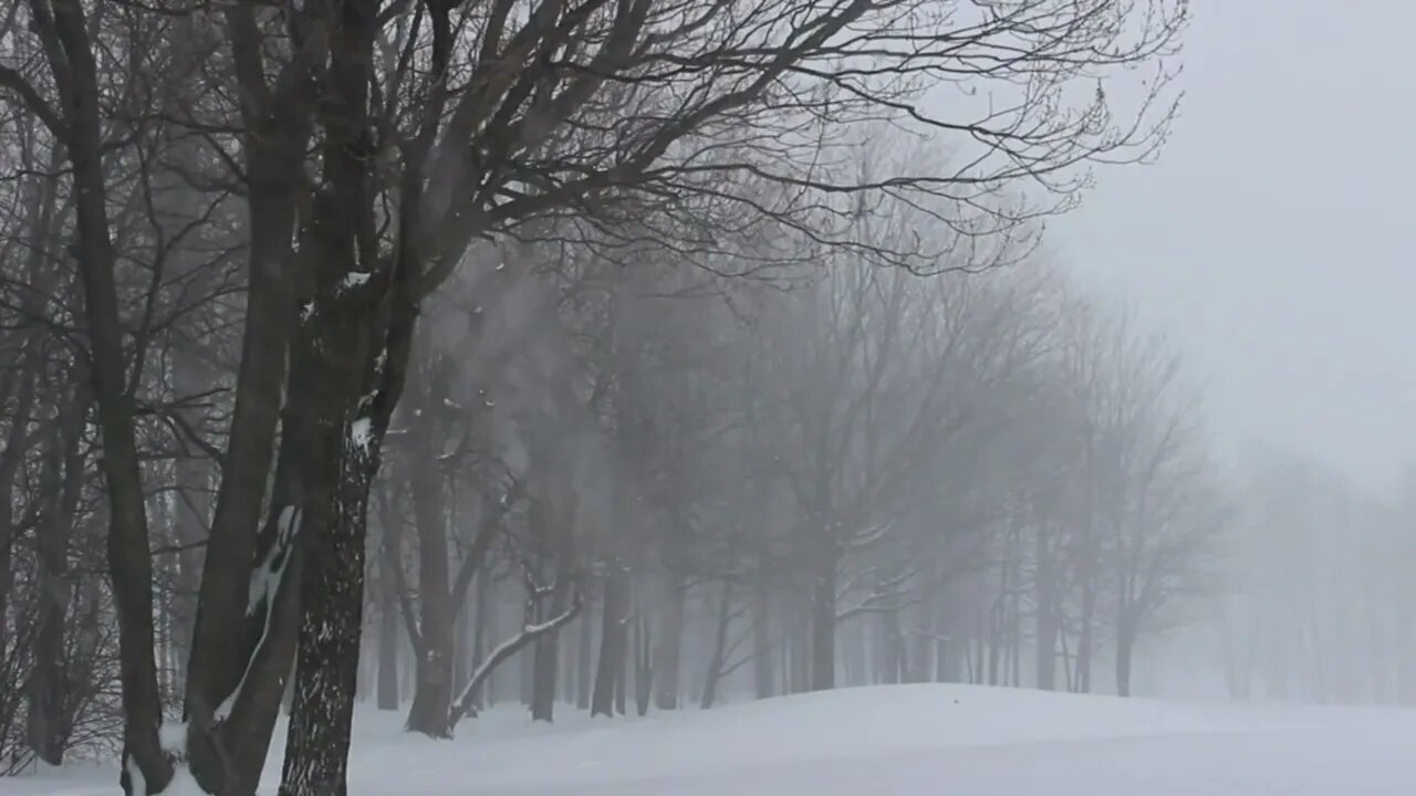 🌨Tempestade de Neve❄ Nevasca com Vento Som de Chuva de Neve Inverno Para dormir e Relaxar