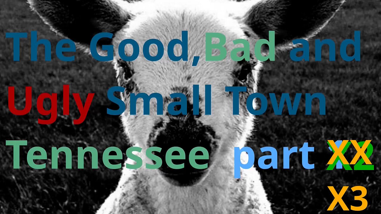 Part 3 the ugly of the good ,bad & ugly truth small town TN