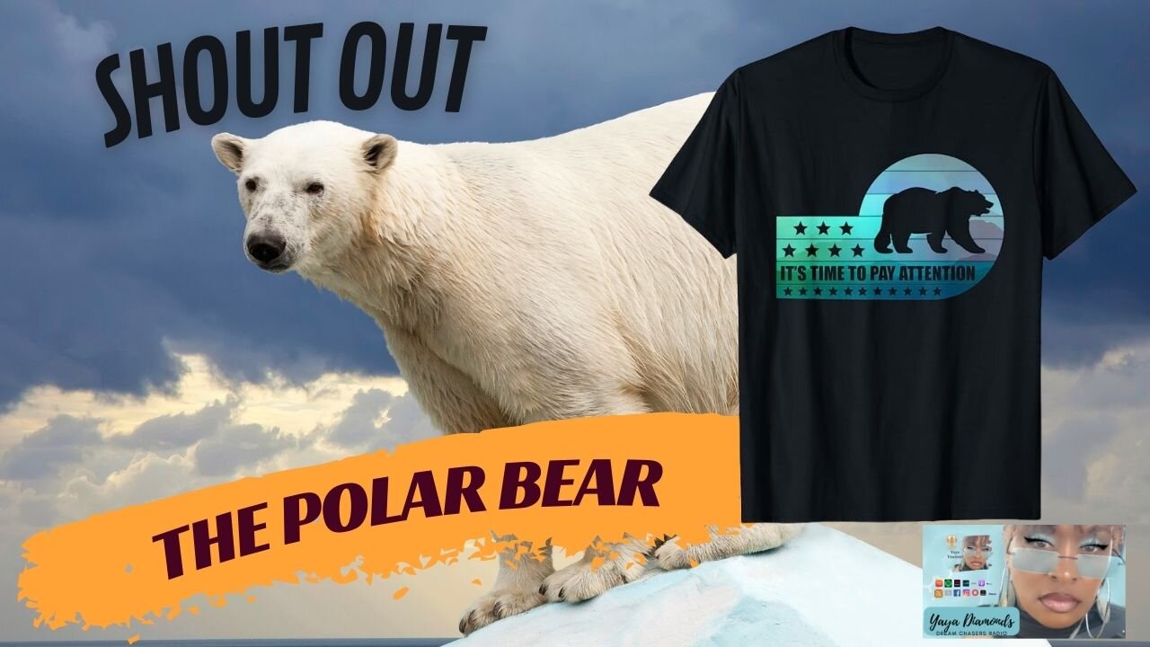 Raising Awareness for Polar Bear Conservation - Shout out