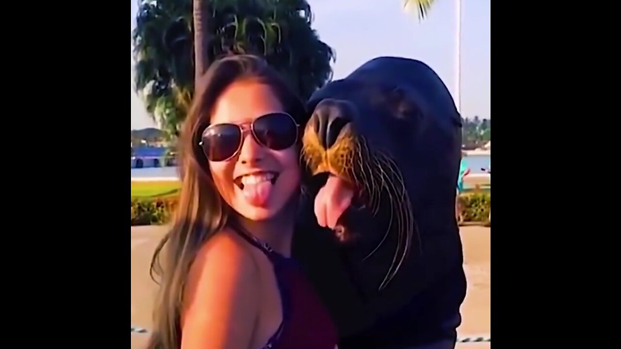 Funny animals