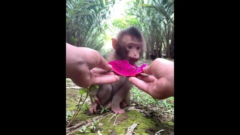 A bite for me, wanna try Enjoy…