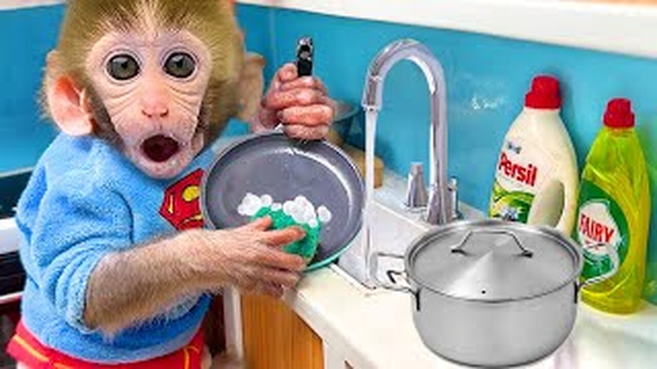 Monkey Baby Bon Bon Washes The Bowl And Goes To Harvest Watermelon With The Duckling