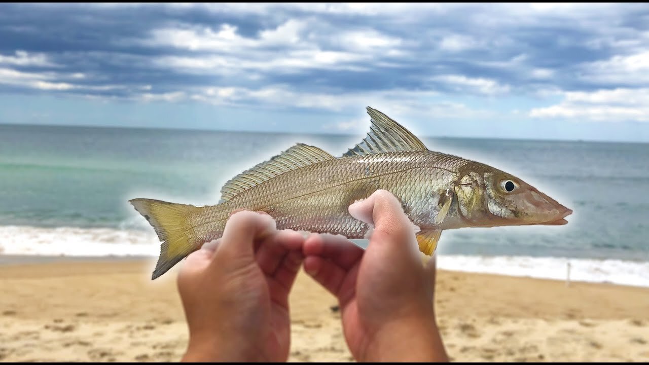 Fishing for Whiting at the NEWCASTLE Beaches