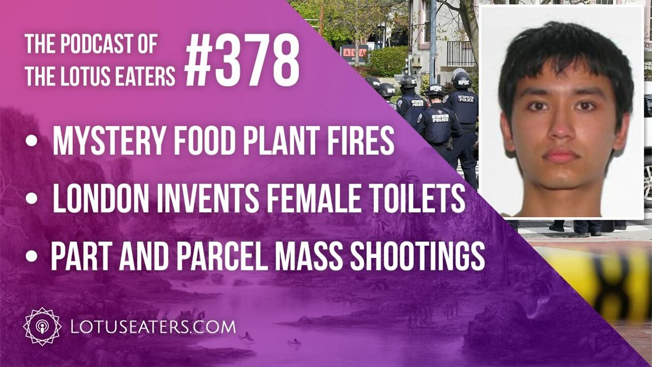 The Podcast of the Lotus Eaters #378