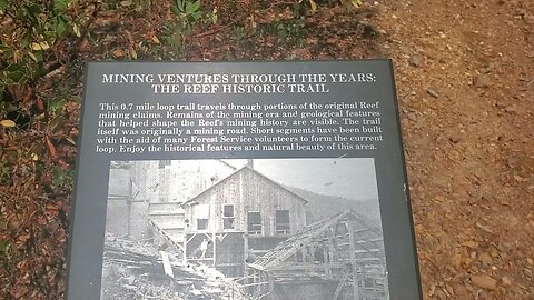 Reef mine trail at Carr Canyon. learning things.