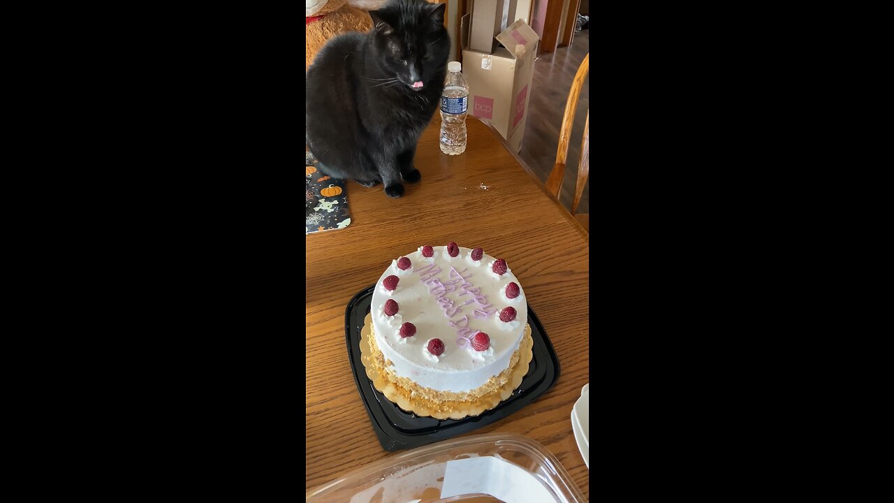 Cutest Cake Thief Ever
