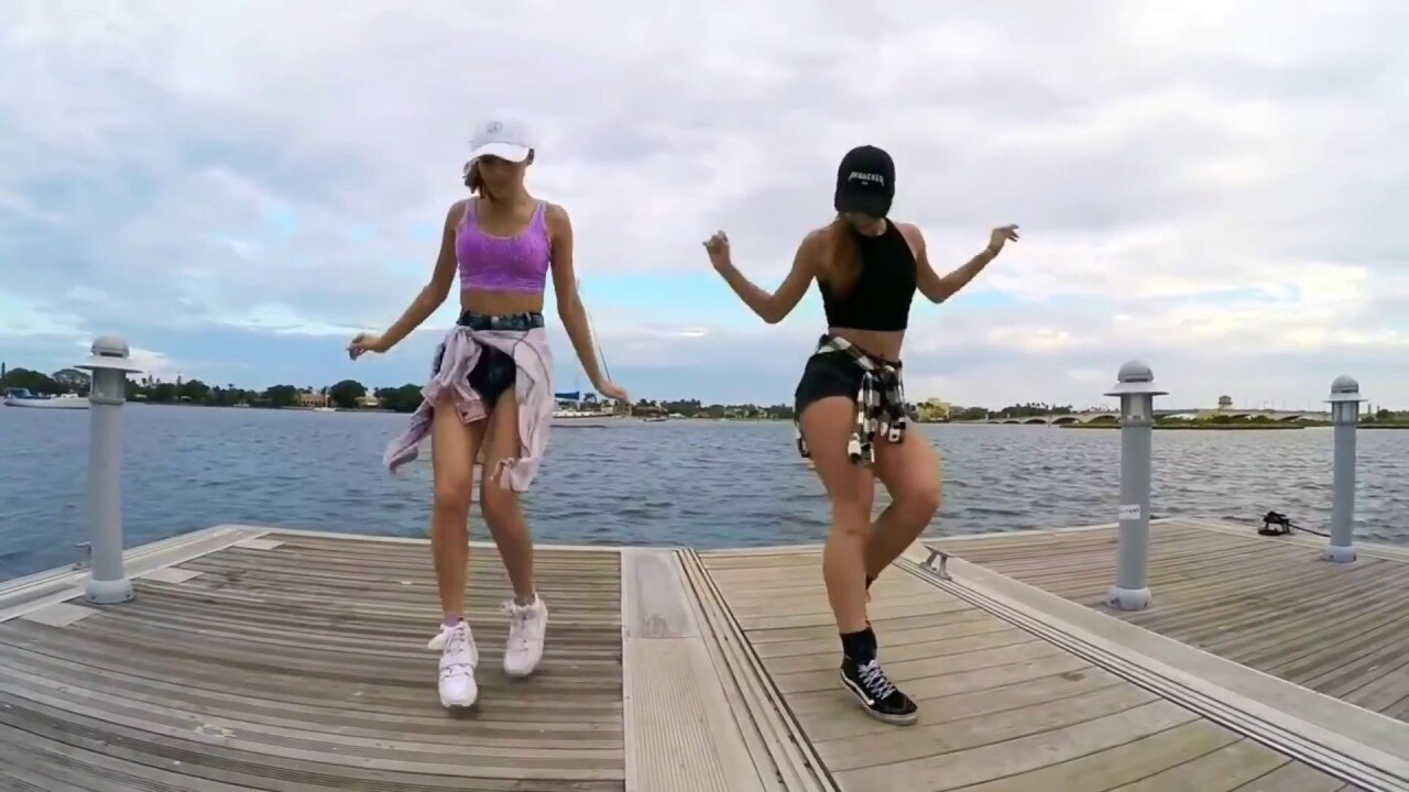 Alan Walker - Faded(Remix) 🎵 Shuffle Dance (Music video) Electro House