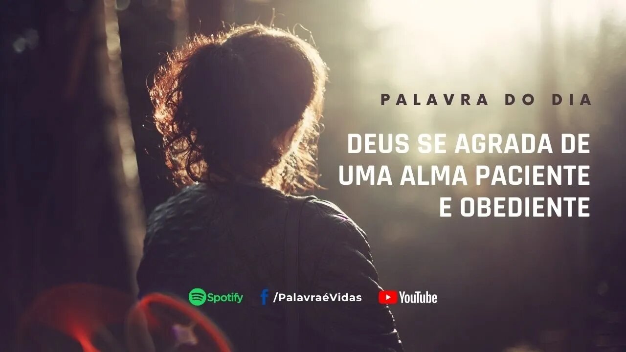 Deus se agrada de uma alma paciente e obediente - Palavra do Dia Hoje