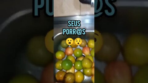 TÁ TUDO CARO PETISTAS E BOLSOMINIONS FILHOS DA "Puara"😂... TRAIDOR€S E IDIOTAS ÚTEIS! BEM FEITO!