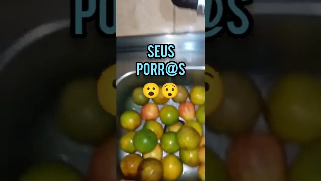 TÁ TUDO CARO PETISTAS E BOLSOMINIONS FILHOS DA "Puara"😂... TRAIDOR€S E IDIOTAS ÚTEIS! BEM FEITO!