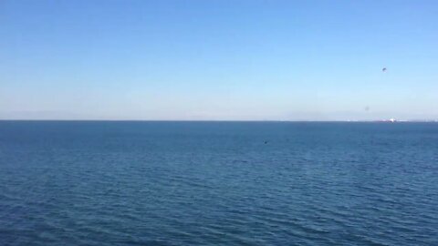 One Ocean Summit : World Leaders Convene in France to Save the Oceans