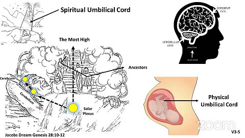 Class 28 | Ep 2: Cerebrum (Cain) & Cerebellum (Abel)