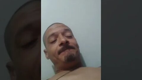 Lipton magnificent matcha review