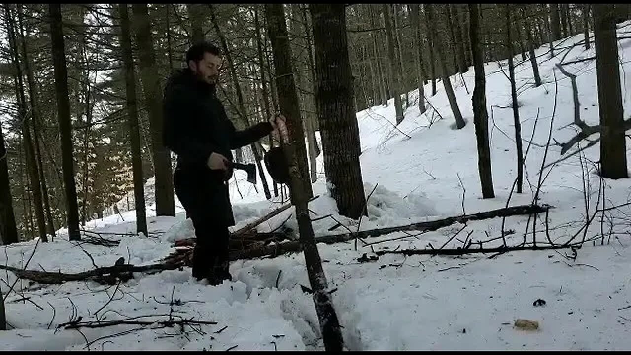 Preparing wood for our campfire after a nice hike #nature #Canada #bushcraft