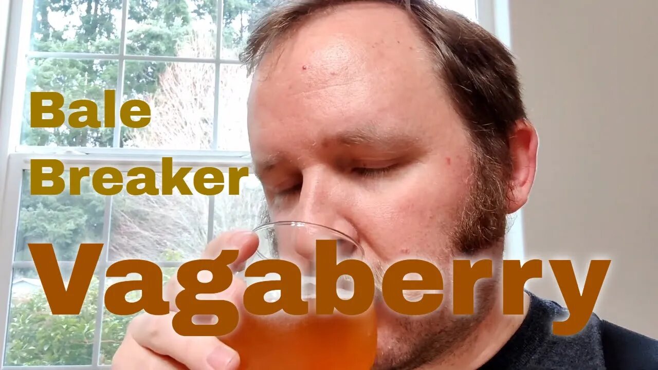 Thanksgiving 2021: Vagaberry Wild Ale by Bale Breaker Brewing #6