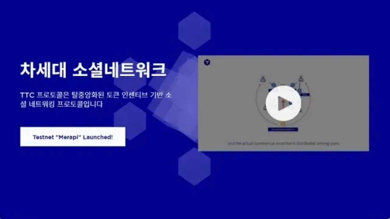 Ttc, 장채선이사, 수억명을 위한 블록체인, 에코, 해시넷밋업, 세라톤디큐브호텔, 인스타그램, 페이스북 좋아요, 수익, 참여보상, sns