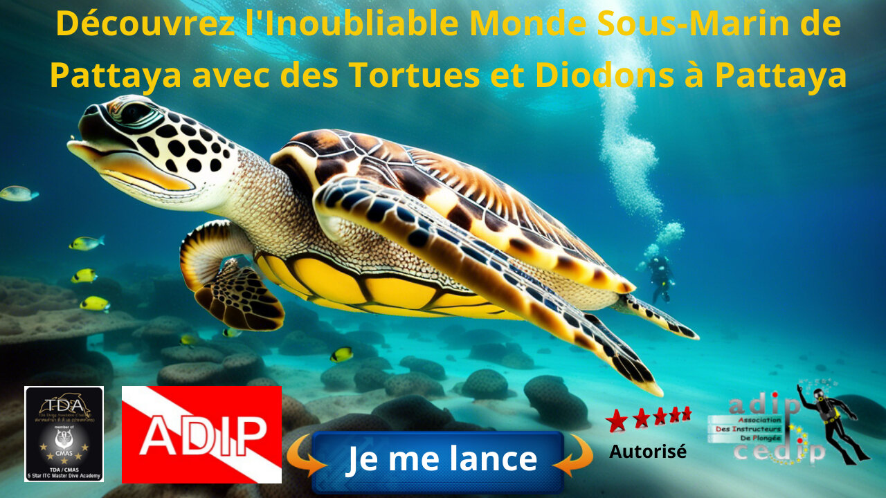 Découvrez l'Inoubliable Monde Sous-Marin de Pattaya avec des Tortues et Diodons à Pattaya