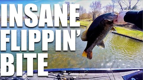 INSANE Flipping Bite -- (BEST Bass Bite EVER)