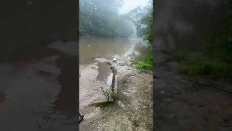 Good morning and happy Sunday! Fishing at the creek. Still feeling grief. #fishing #outdoors