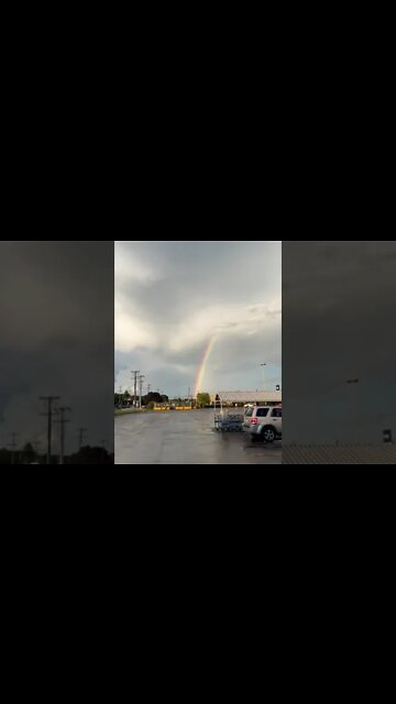 Rainbows in the Summer 🌈