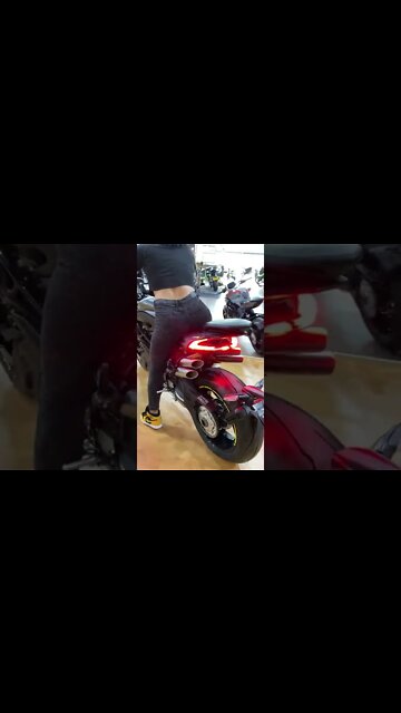 #shorts #2022 funny,prank,funjokes,dad jokes,funny memes,funny video,fun,laughing,funny animal,knock