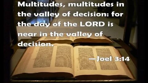 Multitudes Multitudes In The Valley Of Decision by Dr Michael H Yeager