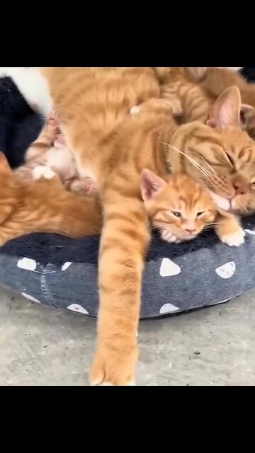 This is what a happy mom looks like