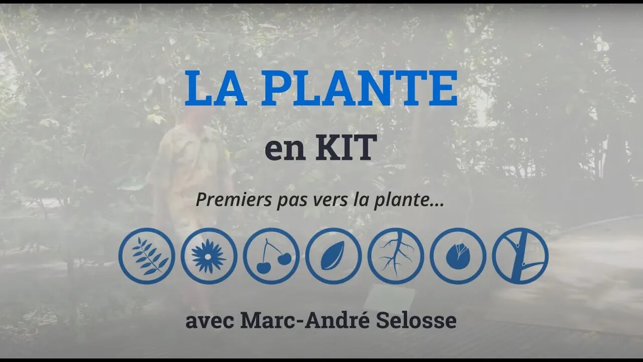 La Plante en Kit ! avec Marc-André Sélosse (bande-annonce)