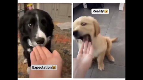 Expectations vs Reality #rumble #youtube #viral