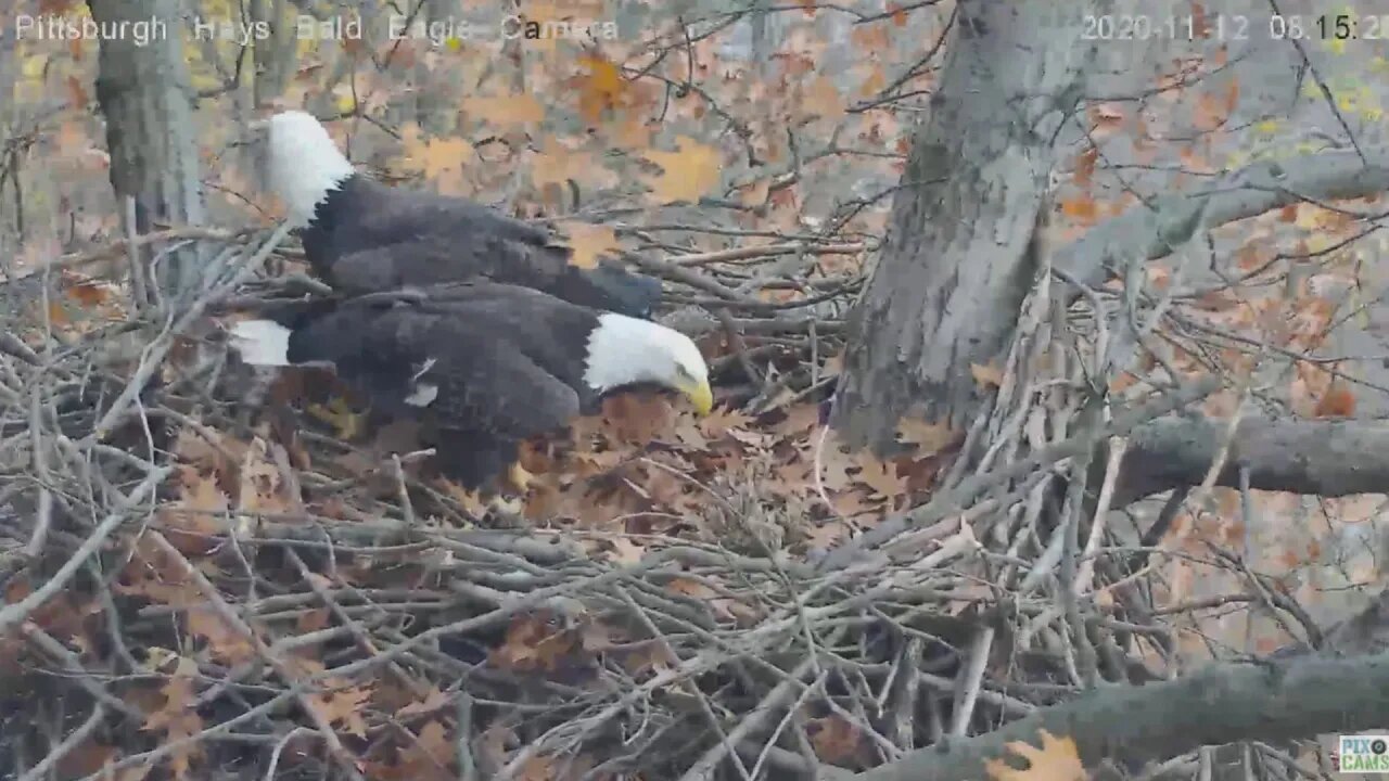 Hays Eagles Mom and Dad stick wars 2020 11 12 812AM