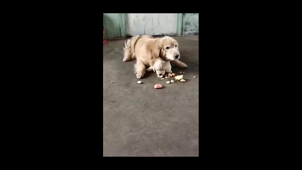 Mother is Mother, how she feeding to her baby