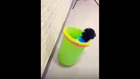 Right into the trash 🗑 😂…. Please make this viral | #shorts | #viral | #funny