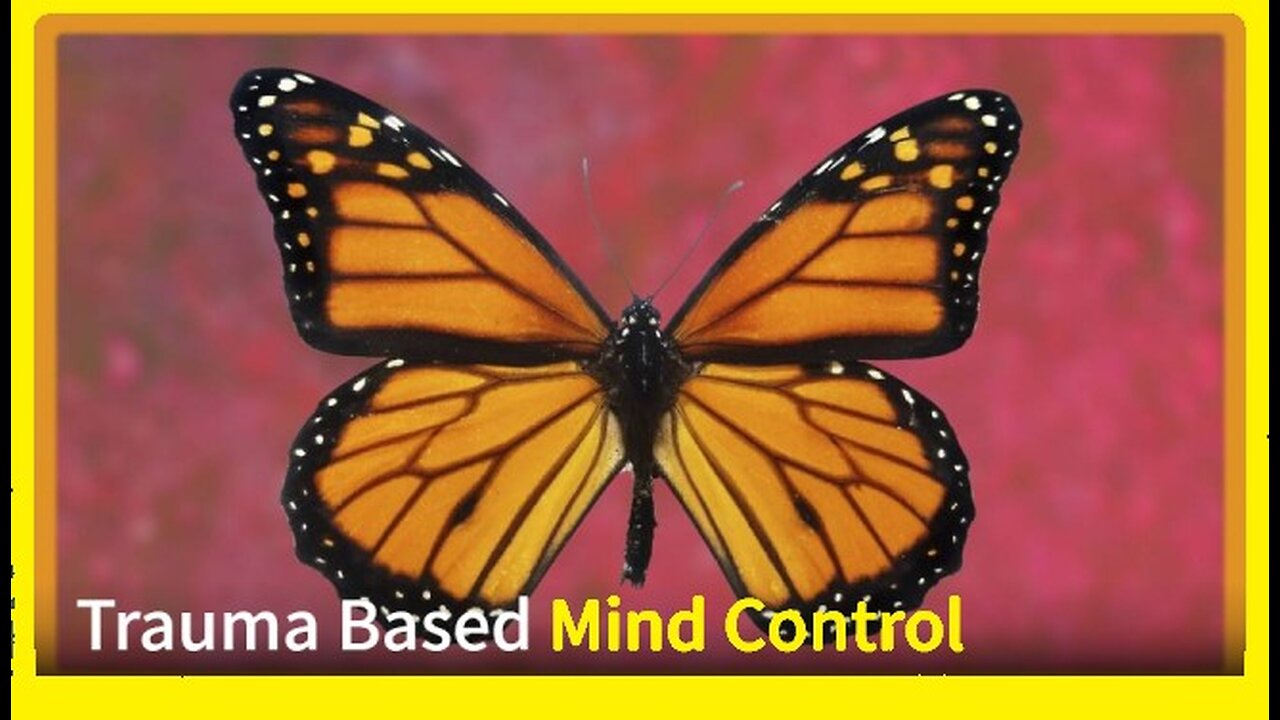 Trauma Based Mind Control