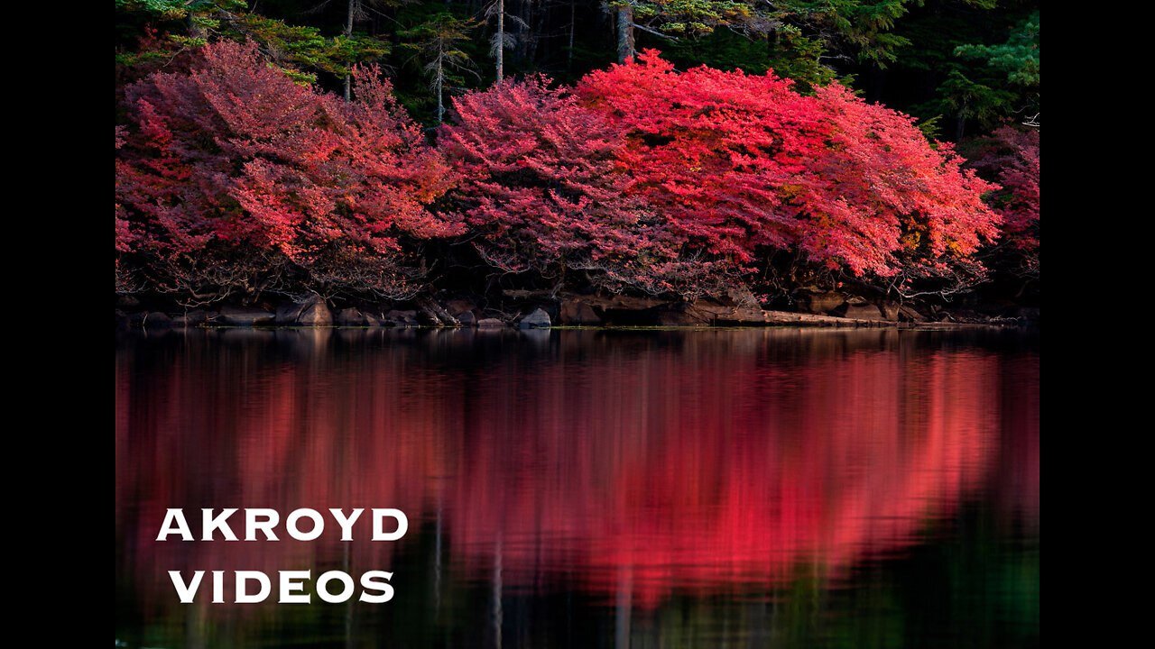 (AKROYD VIDEOS) THE ZOMBIES - TIME OF THE SEASON