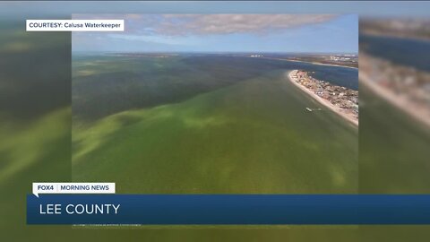 Red Tide levels in SWFL