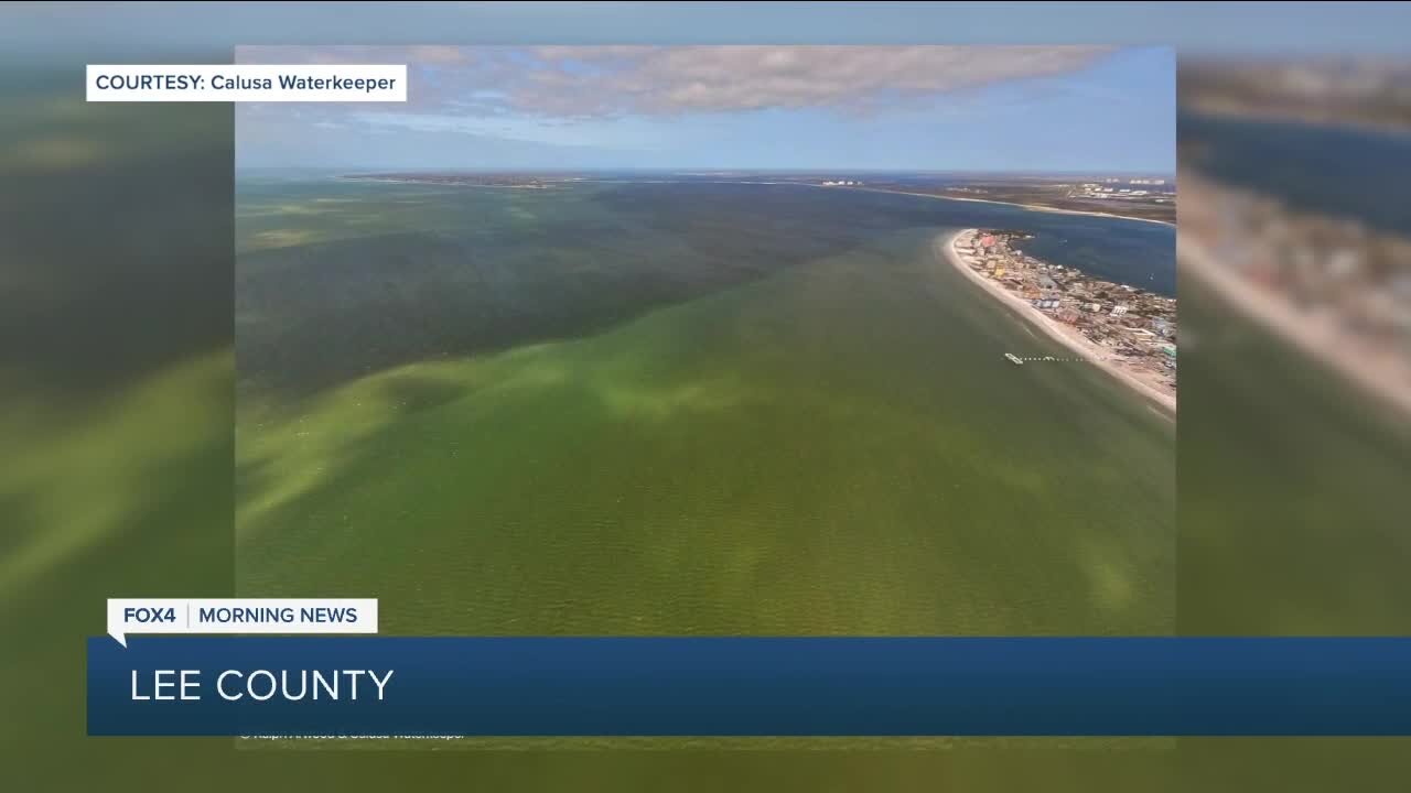 Red Tide levels in SWFL