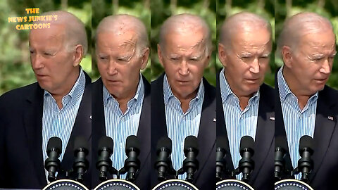 Confused Biden: "Who am I yielding to?"