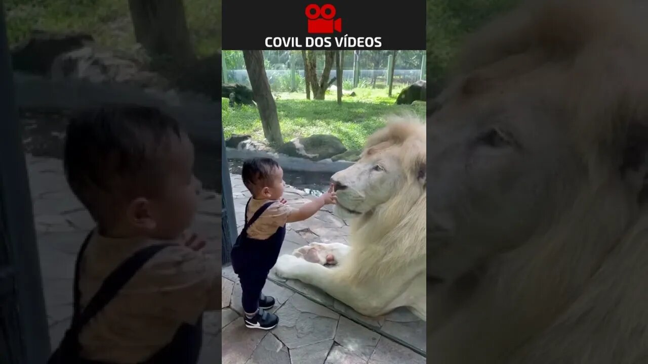 Muito legal esse zoológico