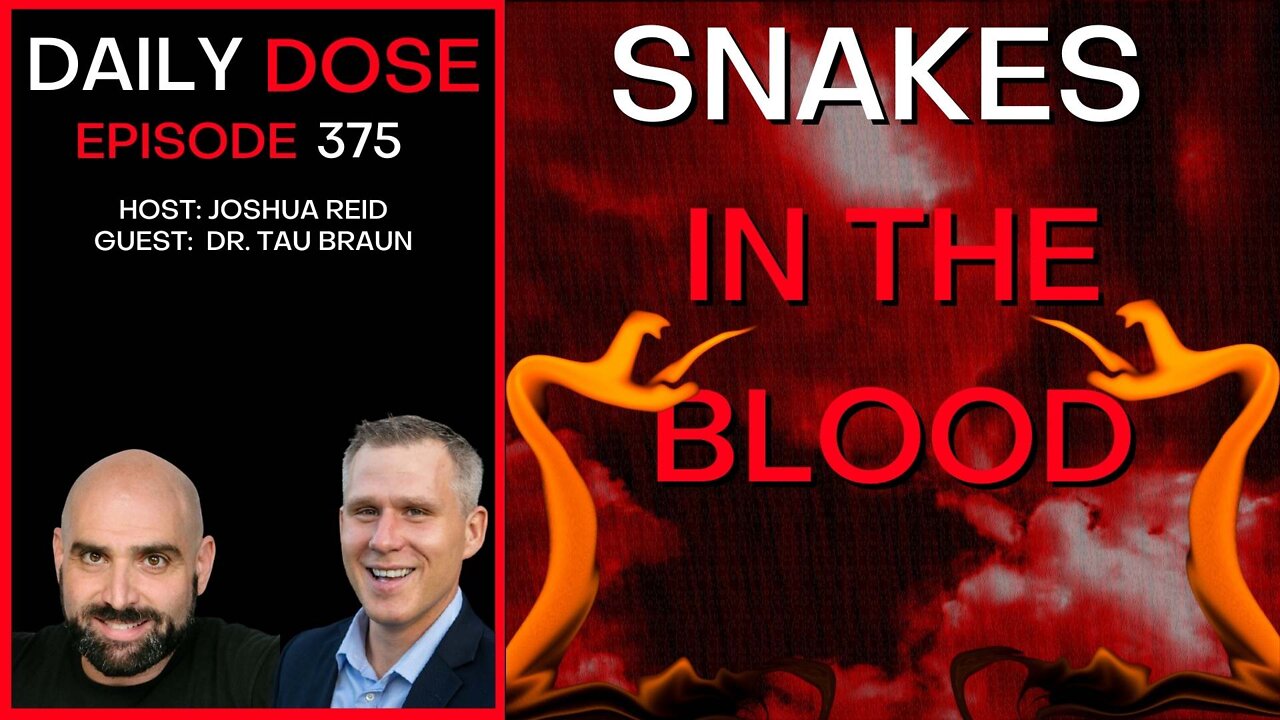 Ep. 375 | Snakes In The Blood | The Daily Dose